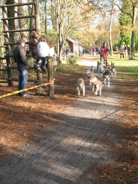 28-Atlantirod 25-11-2012 030